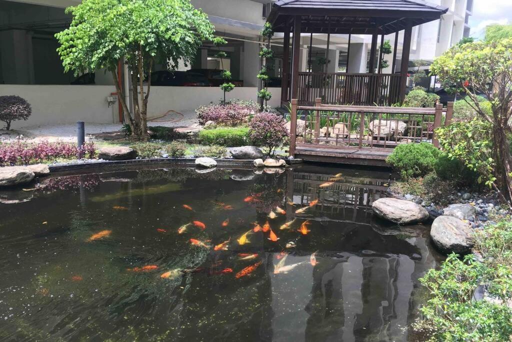 8pax Mount Austin Midori Johor Bahru